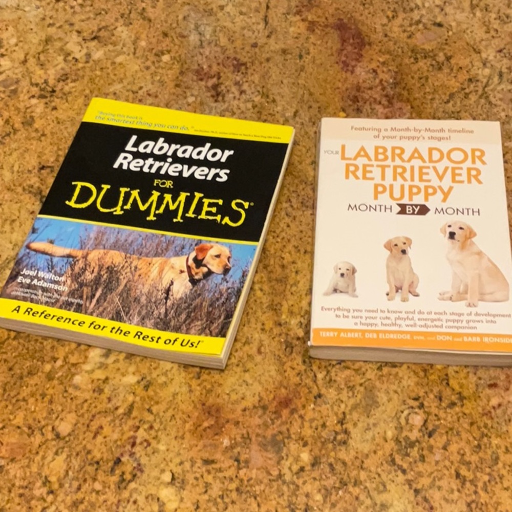 Labrador Retriever training/informational books